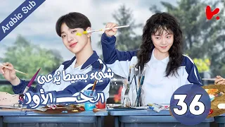 المسلسل الصيني شيء بسيط ي دعى الحب الأول A Little Thing Called First Love الحلقة 36 و الاخيرة 