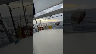 1000 sm zu den Kapverdischen Inseln ⛵️ #sailing