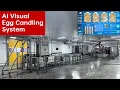 Ei Farming AI Visual Egg Candling System