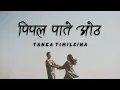 Lagu peepal pate ootha mathi meri champa | Tanka Timilsina - Meri Champa (Lyrics Video) |