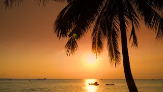 ዳዊት መለሰ እንዴት ልቻል 