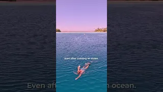 This Wasn’t On The Brochure