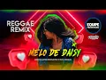 Melo de Daisy [REGGAE REMIX]  2023