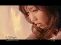 Download Lagu Tainaka Sachi - Aitai yo. [English Subs]