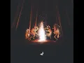 Forest Tales