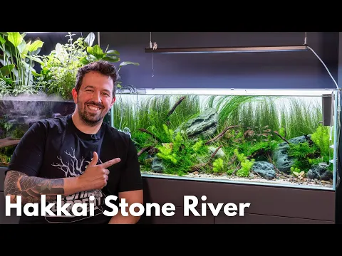 Download MP3 Hakkai Stone River Aquarium nach 6 Monaten!