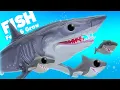 Download Lagu Raising An ADORABLE Mako Shark Family! | Feed \u0026 Grow Fish