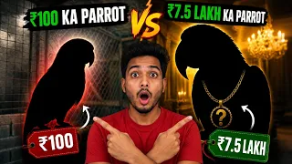 100/- vs 7.5lak Rupee Parrot / 50lak ka bird setup visit