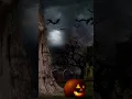 Halloween Bats Flying around Pumpkin
