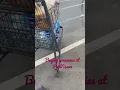 PickNsave