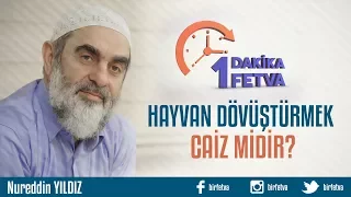 Hayvan dövüştürmek caiz midir?