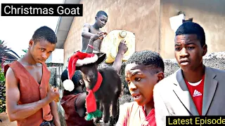 christmas goat mark angel comedy golden stars comedy latest episode