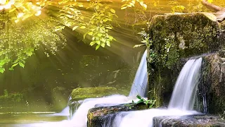 surah an naml ayat 15 59 islam sobhi