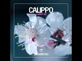 Carry Me - Calippo