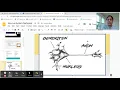 Nervous System Flashcards Instructions