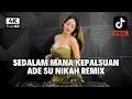 Download Lagu DJ SEDALAM MANA KEPALSUAN X ADE SU NIKAH VELOCITY REMIX FULL BASS VIRAL TIKTOK TERBARU 2025