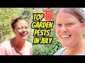 Download Lagu Top 5 Garden Pests (for Beginners) #organicgardening