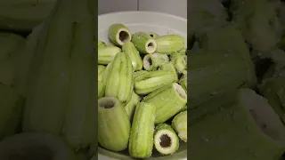 الله يطول بعمرك ياامي لو ماانتي مابعرف اعمل شي الله يجمعني معك 