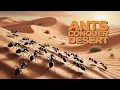 Lagu Sahara Silver Ant: Discover The World's Fastest Desert Survivor!