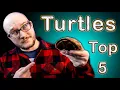 Top 5 Turtles For Beginner AND Expert Keepers