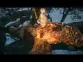 Elden Ring Envoy Crown Location Guide