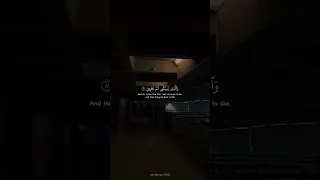 القارئ أحمد عبد الحي 