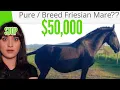 WHO S BUYING THESE HORSES