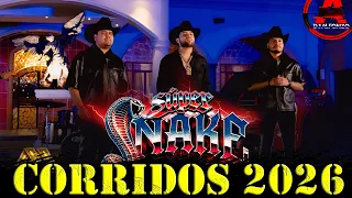 Corridos 2026 - Super Snake