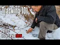 Tracking 101 Tracks in the Snow How to evaluate footprints