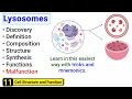 Lysosomes structure and function Complete concept with Tricks J Biology