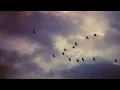 Sabr Alptekin - Life Goes On