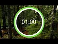 Download Lagu 1 Minute Timer with Forest/Nature Background | 1 Minute Forest/Nature Background Countdown Timer