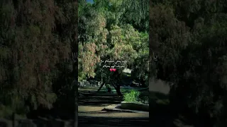 يارب يخلي ضحكاتو مااا يشووف الهم بحياااتو Foryou اكسبلور حب فضل شاكر بدر عبدالمحسن شعر دويتو 