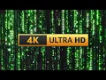 Lagu Matrix Screensaver Rain Code 12H 4K - Longest video on Youtube