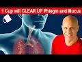 1 Cup will CLEAR UP Mucus Phlegm in Sinus Chest and Lungs Dr Alan Mandell DC