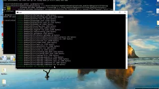 Error Cannot find module angular- after clean install