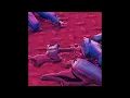 Skrillex, ISOxo, Cristale & TeeZandos - SMOKE (RedBegins OLD VERSION REMAKE V4)