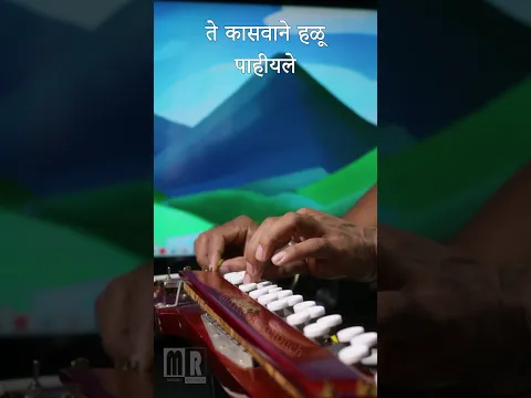ही धून ऐकून बालपण आठवेल! 🥰 | Sasa To Sasa Instrumental #shorts #trending #music