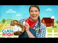 Download Lagu The Farmer In The Dell | Songs from Caitie's Classroom
