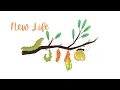 New Life Pastor Rudy Amador Liberty Chapel Church