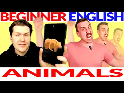 Лёгкий уровень для новичков Аудирование на английском Курс Урок: Animals (Part 2)🐔😺🐻🦋🐶🐍🦜🦁 Понятный ввод на английском