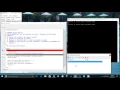Pascal come funziona il debug