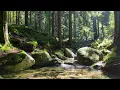 Spring Forest Sounds for Sleep 🌿 Mountain Stream & Birdsong (3 Hours, No Music)