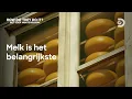 Download Lagu Het productieproces van Goudse kaas in Nederland. - How Do They Do It? met Joep van Deudekom