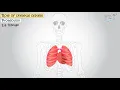 Human Skeletal System and its Functions Science Grade-5 Tutway