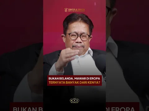 MAWAR DI EROPA TERNYATA DARI KENYA? | Newlitics