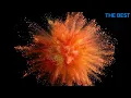 MAGIC SYSTEM 1ER GAOU official and English Translation Lyrics Video By THE BEST