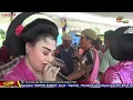 Download Lagu FULL TAYUB SIANG SEDEKAH BUMI SUMURGENENG NY KARNIATI,NYI MURSIATI,HENIK \u0026 NYI FITRI~KARTIKO BUDOYO