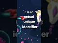What is a NetworkObject in Netcode for GameObjects Lots of nets Kind of but not quite