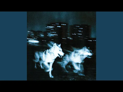 Video Thumbnail: Les bases